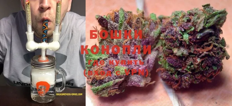 Бошки марихуана Ganja  сколько стоит  Мончегорск 